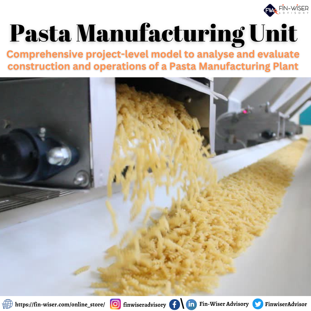 Pasta Factory Business Plan Model with 3 Statements, Cash Waterfall & NPV/IRR Analysis