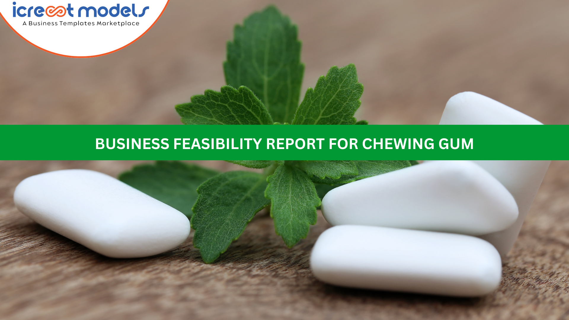 BUSINESS FEASIBILITY REPORT FOR CHEWING GUM