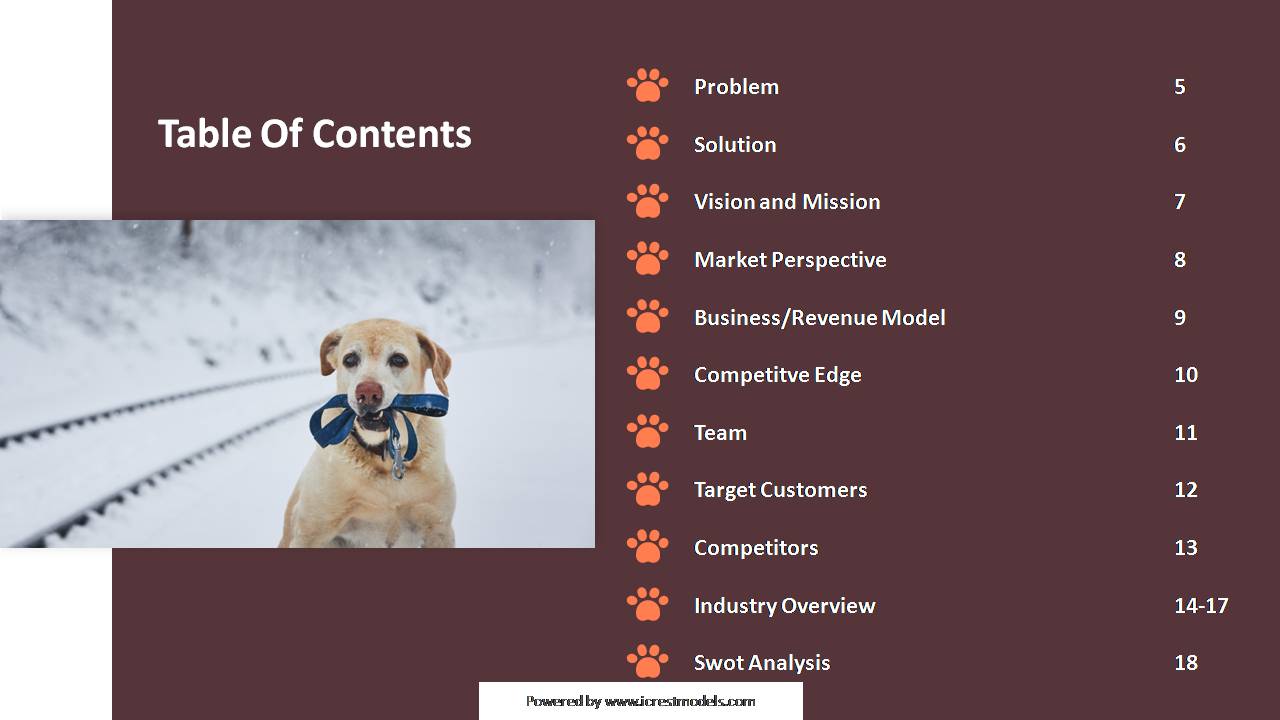 Investor Pitch Deck of a Pet Chip Business