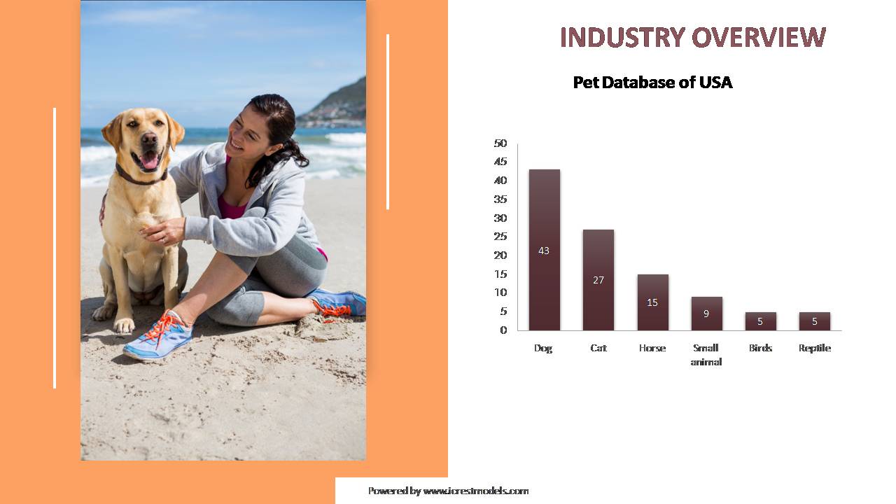 Investor Pitch Deck of a Pet Chip Business