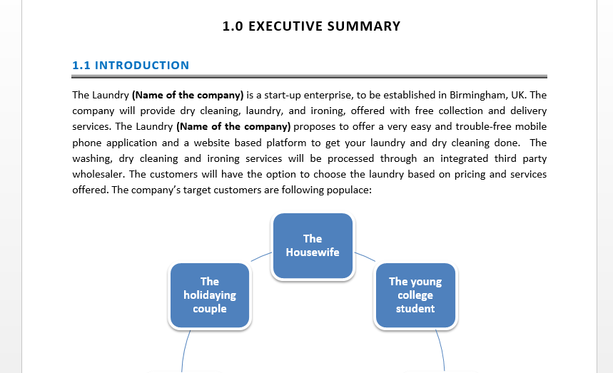 business plan of a laundry service