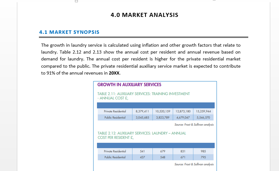 Laundry Business Plan Template Icrest Models