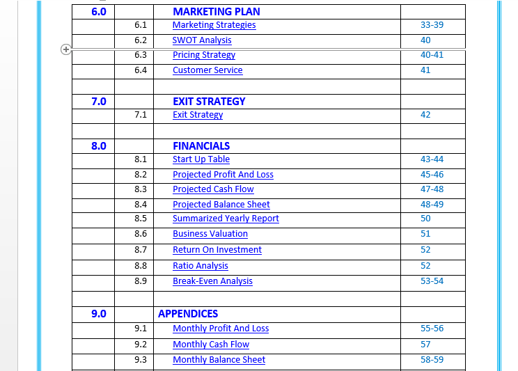 starting airline business plan