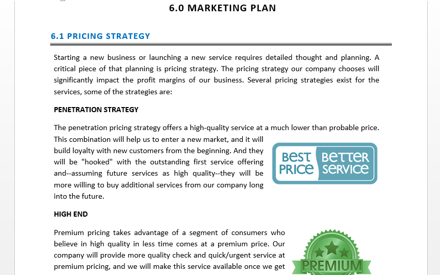 Laundry Business Plan Template | Icrest Models