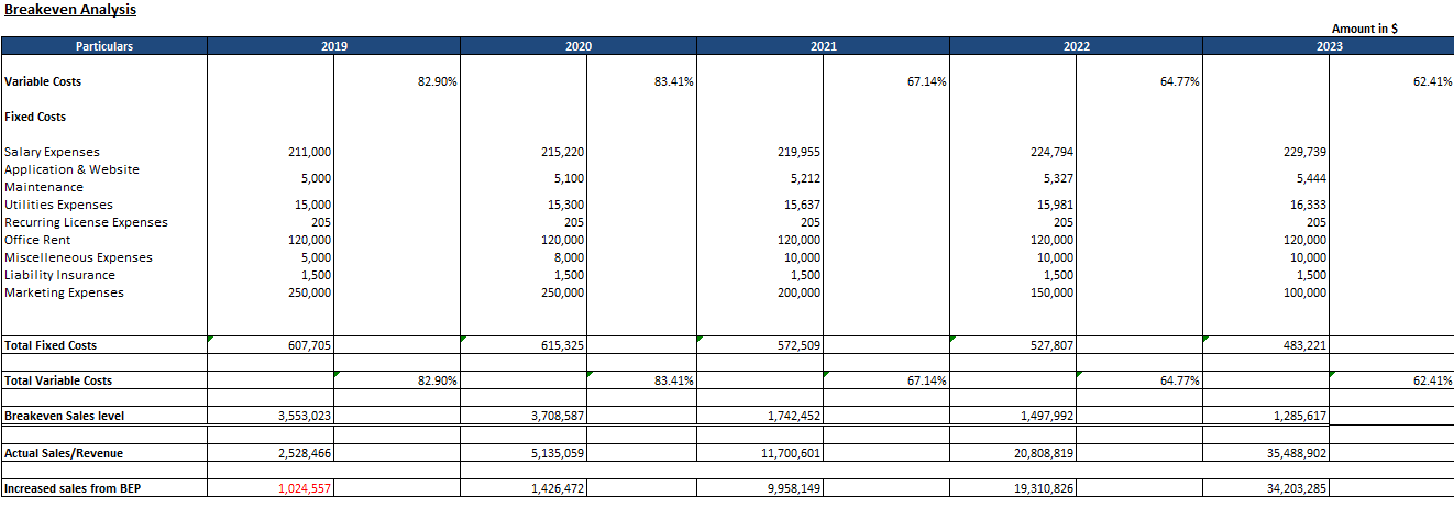 E Pharmacy Financial Plan Template