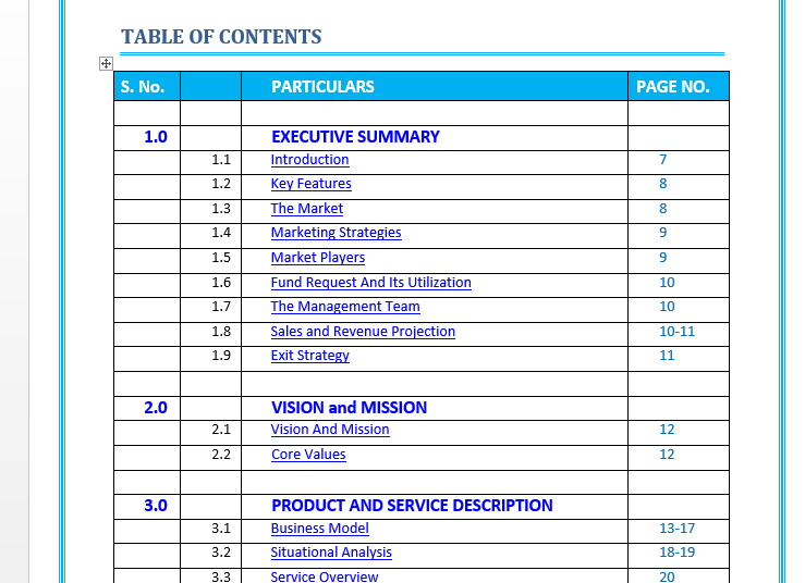 airline business plan example