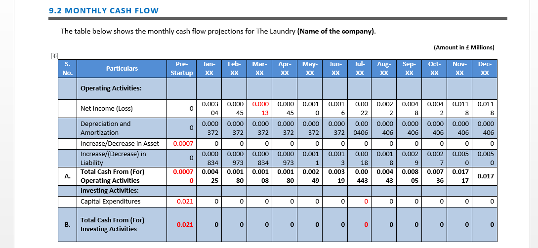 Laundry Business Plan Template Icrest Models