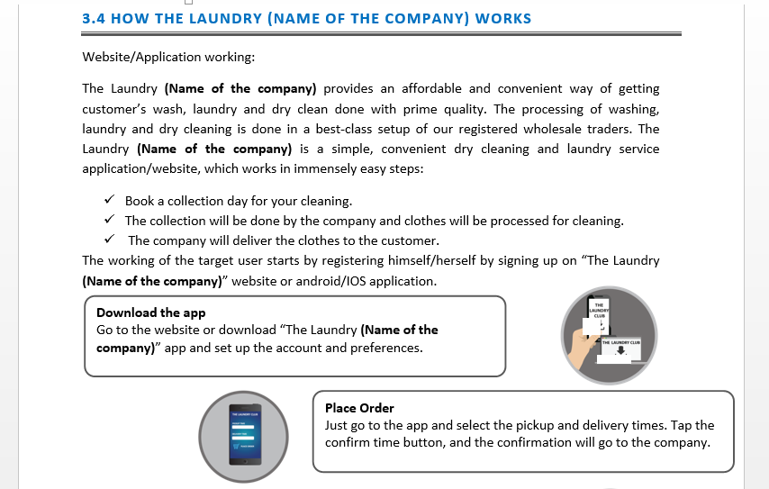 Laundry Business Plan Template Icrest Models